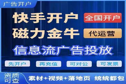 网络营销实战：成功竞价推广案例分析